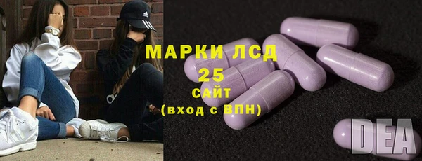 прущие грибы Горнозаводск