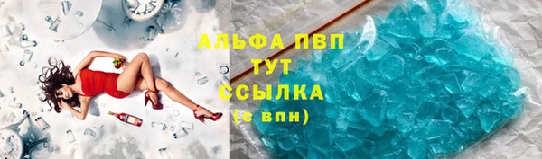прущие грибы Горнозаводск