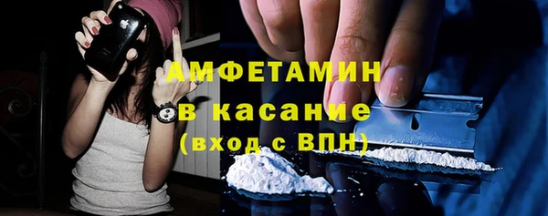прущие грибы Горнозаводск