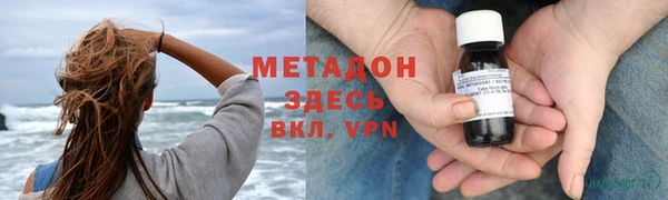 прущие грибы Горнозаводск