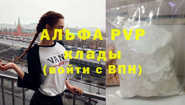 прущие грибы Горнозаводск