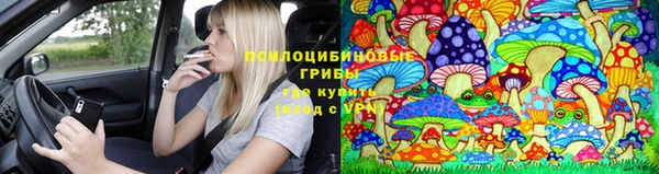 наркотики Гусь-Хрустальный