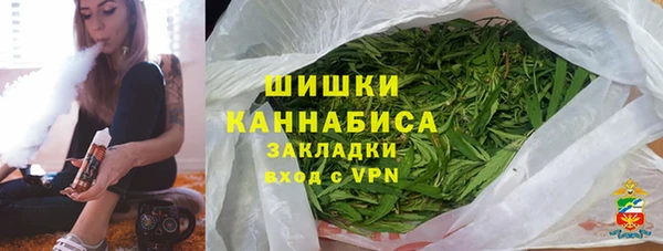 прущие грибы Горнозаводск