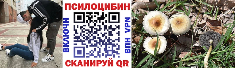 Галлюциногенные грибы MAGIC MUSHROOMS  Купить  Жуков 