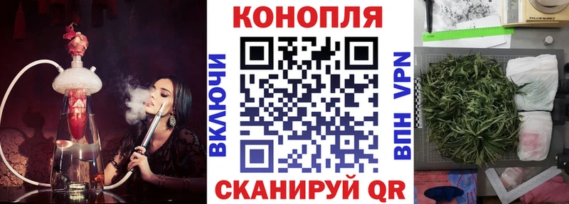 МАРИХУАНА SATIVA & INDICA  Купить закладки  Жуков 